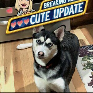 Meet your Posher, Stacy